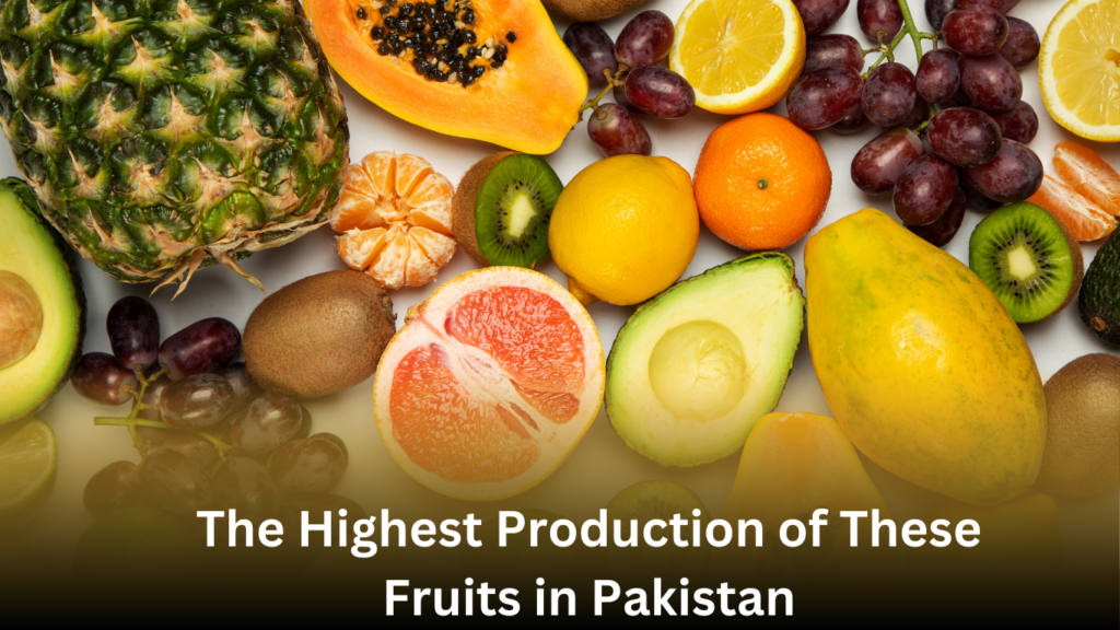 The Highest Production of These Fruits in Pakistan